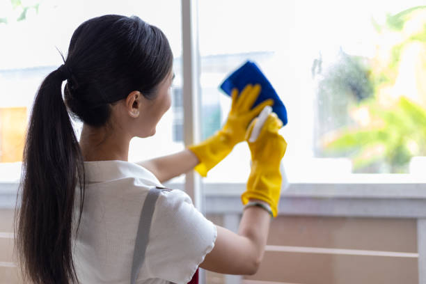 Clear Choices: Top-Rated Window Repair Services